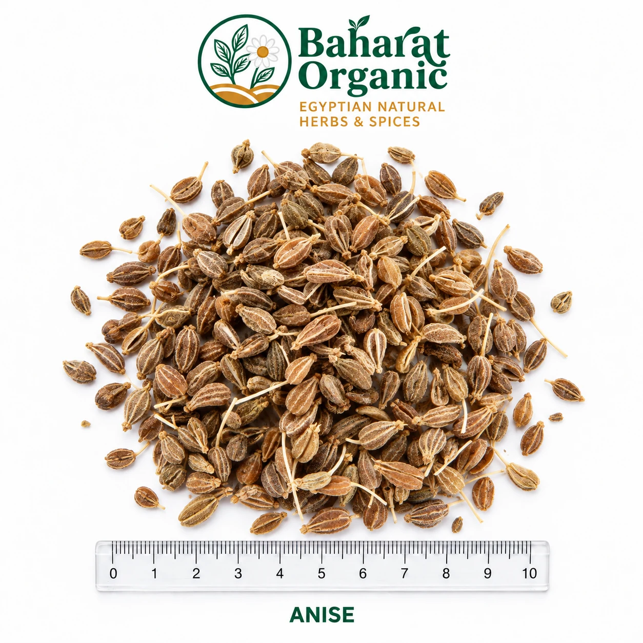 ANISE