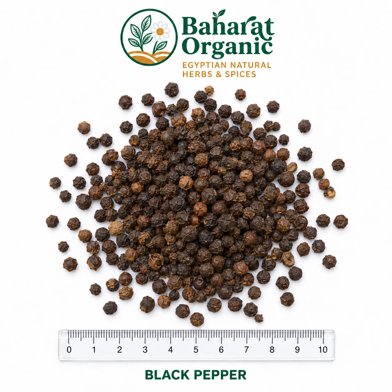 BLACK PEPPER