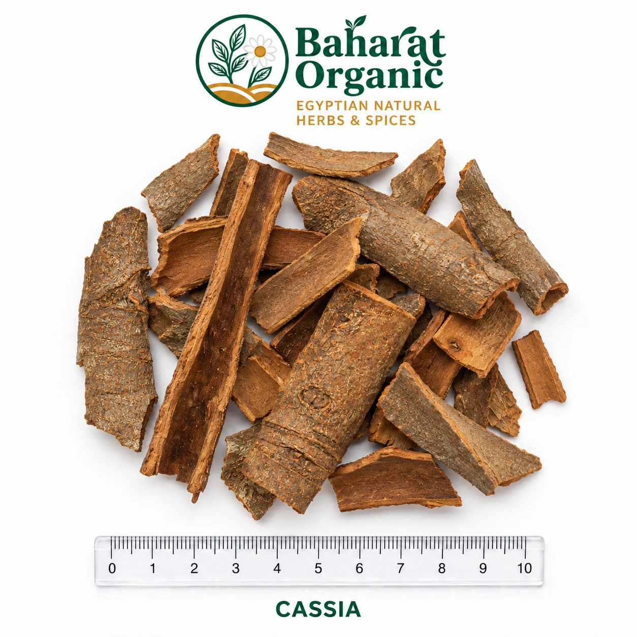 CASSIA
