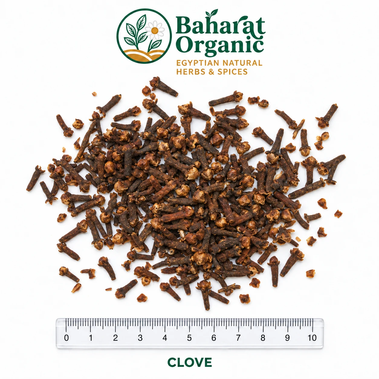 CLOVE