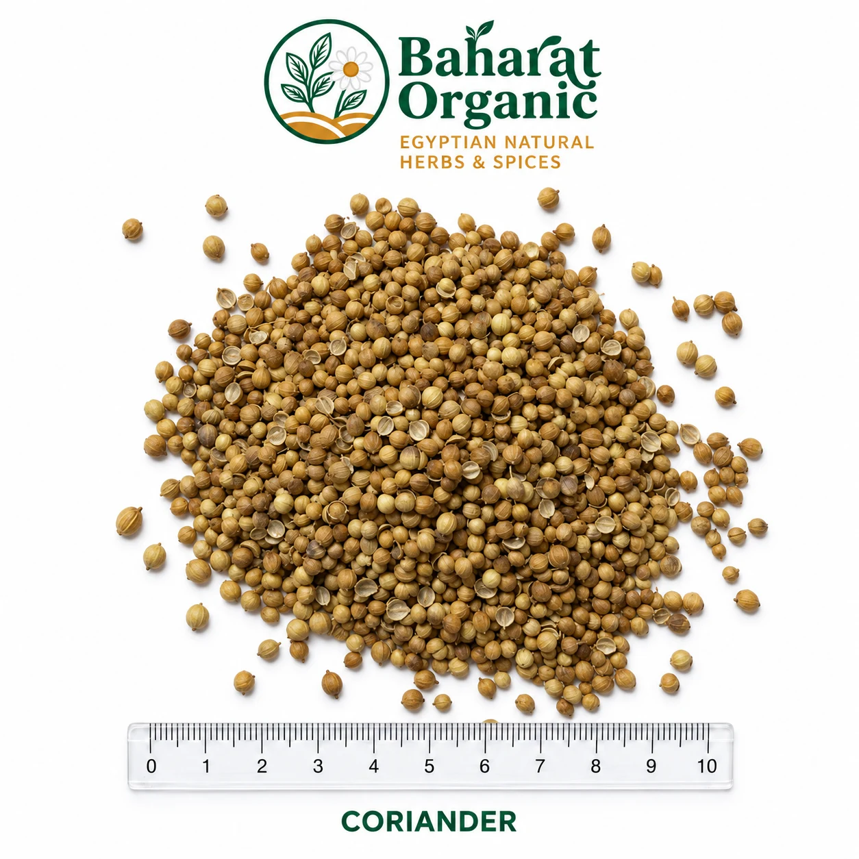 Whole coriander