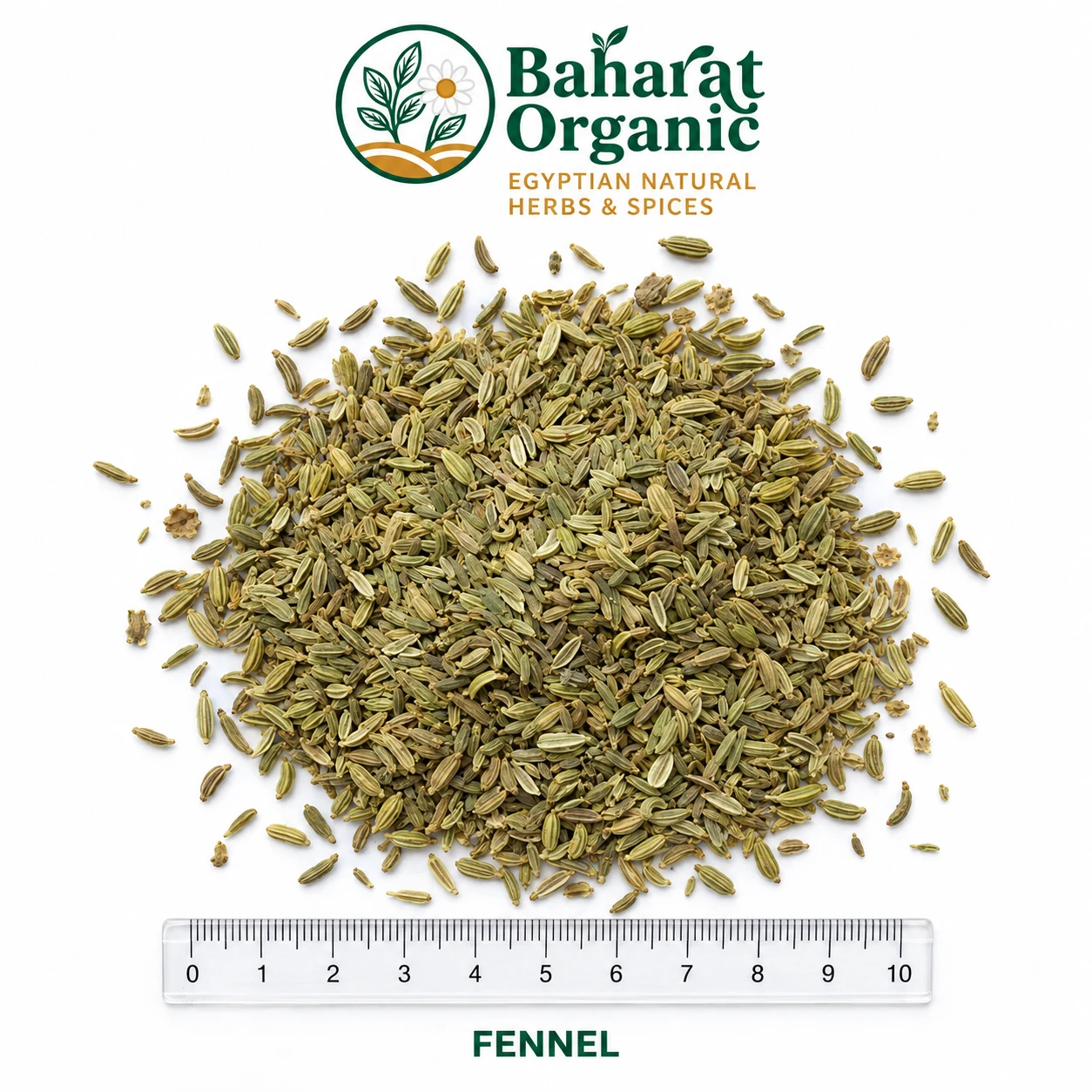 Whole fennel