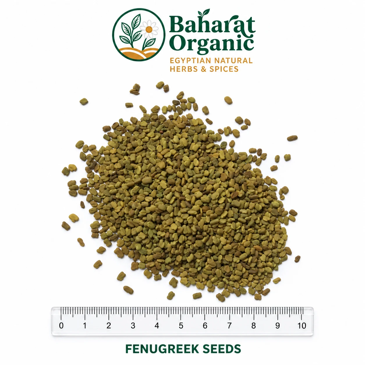 Fenugreek seeds