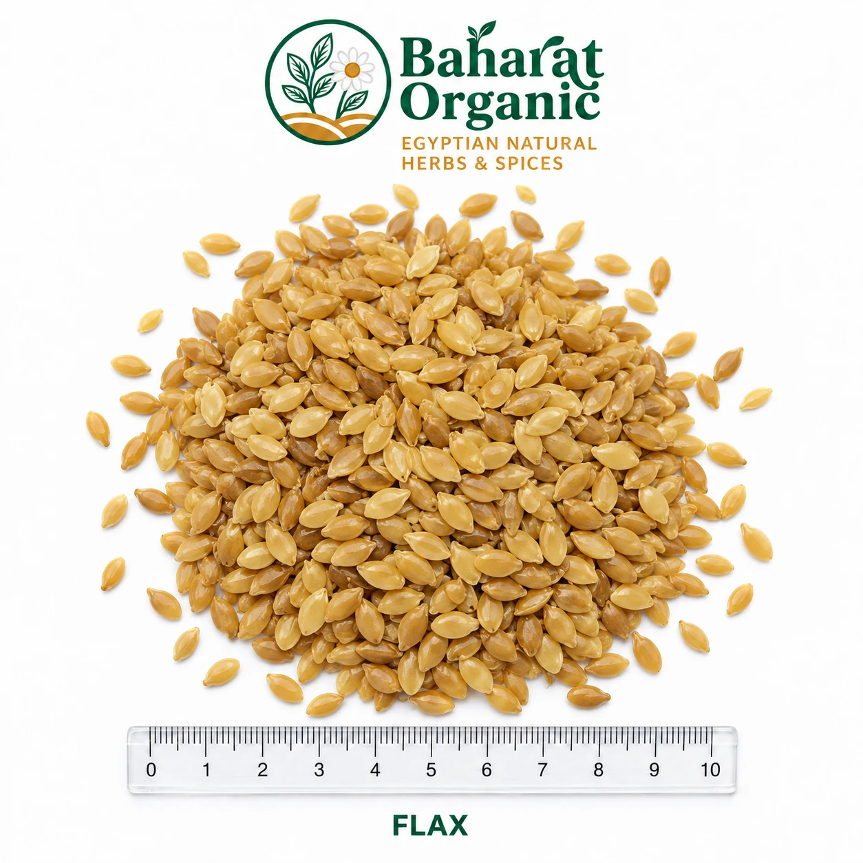FLAX
