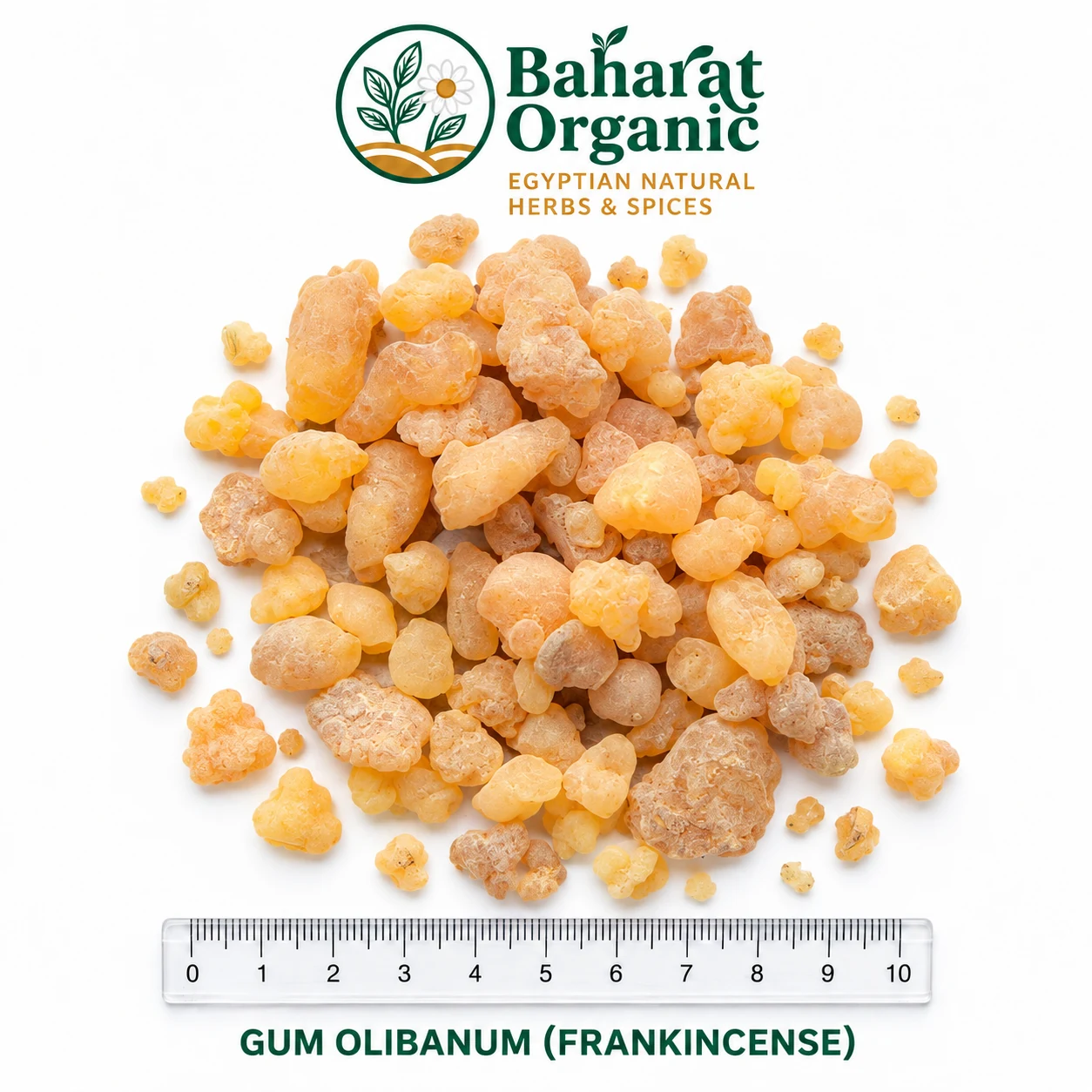 GUM OLIBANUM (FRANKINCENSE)