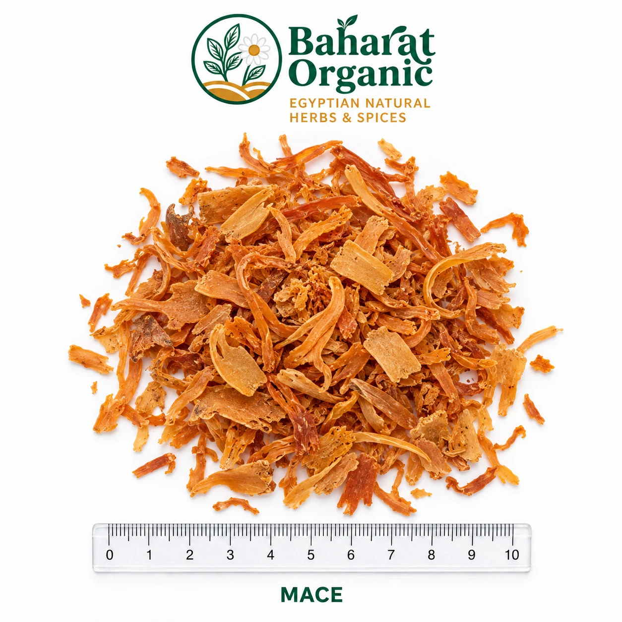MACE