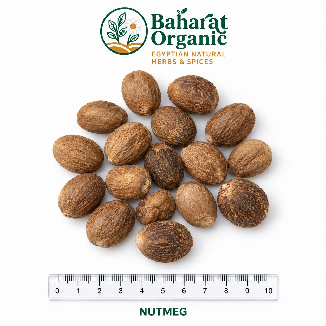 NUTMEG