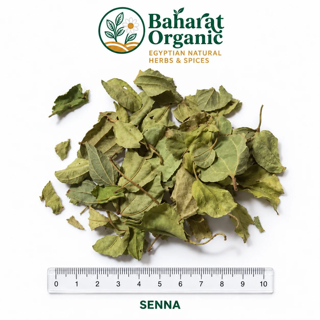 Provisional senna — identity unconfirmed