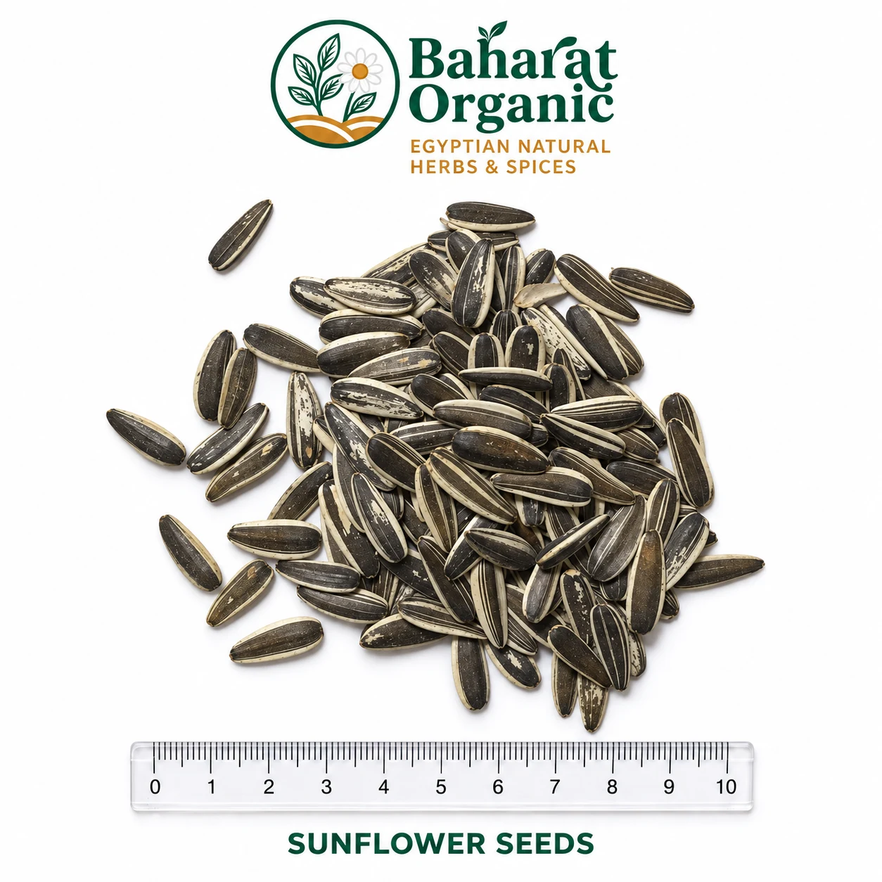 Sunflower seeds