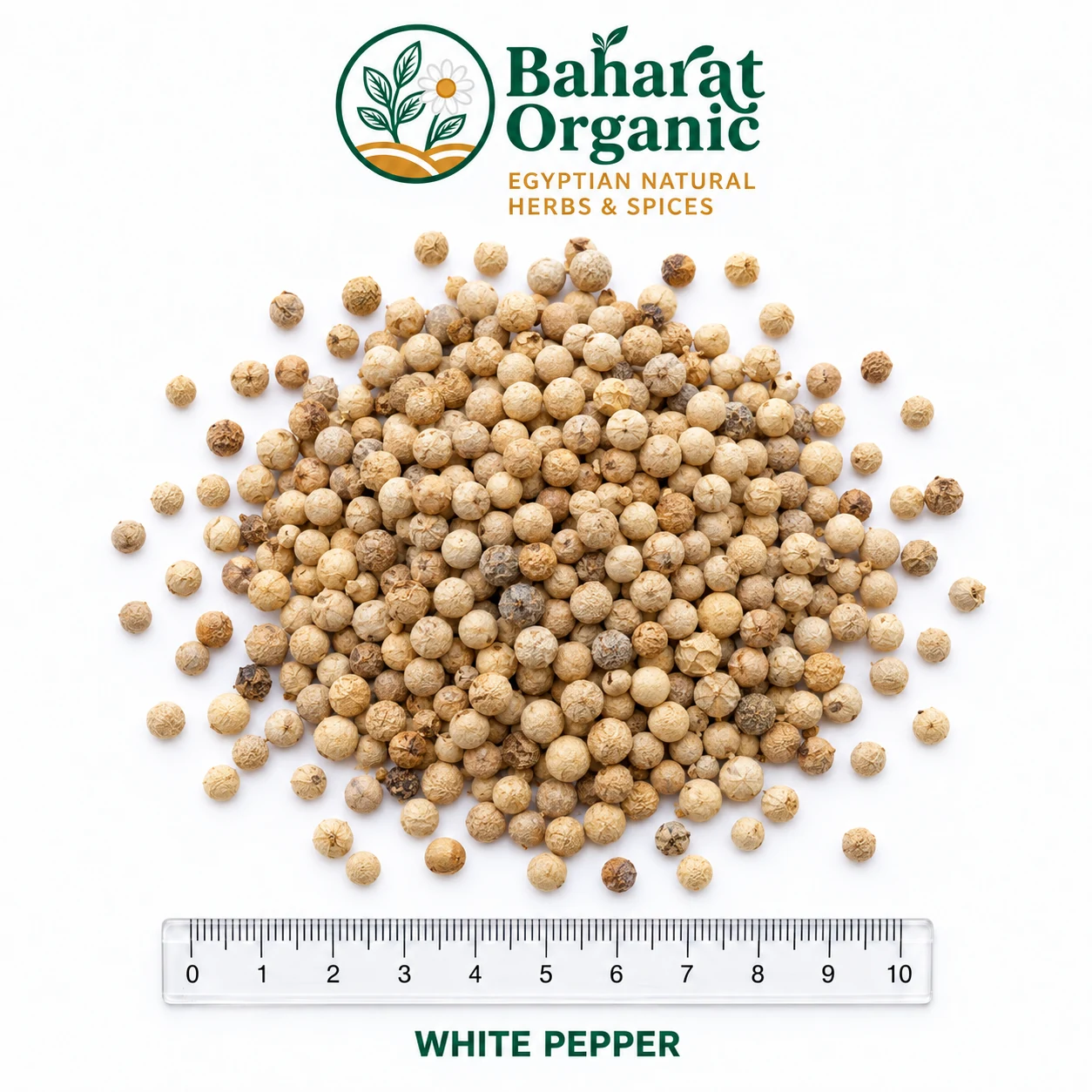 WHITE PEPPER